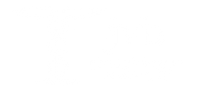 jvb physical therapy services llc